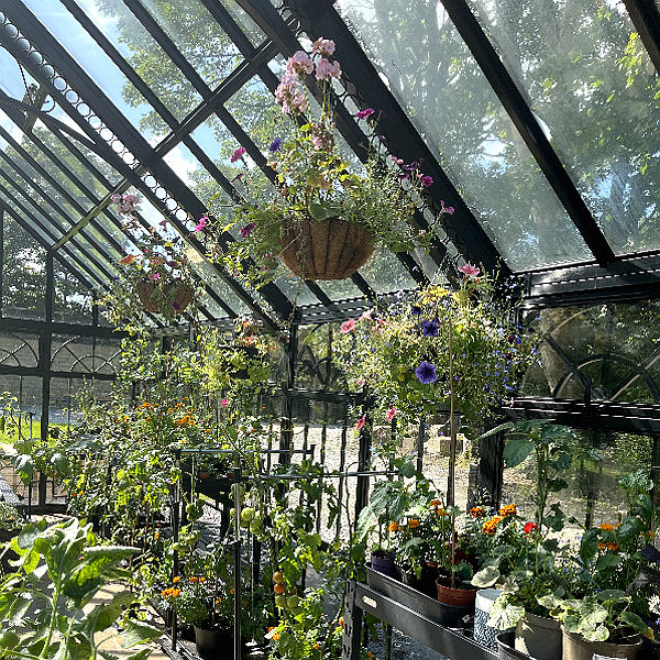 glass greenhouse, glass conservatory, greenhouse for sale